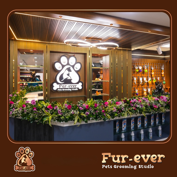 Cover photo of FUR-EVER PETS GROOMING STUDIO CHENNAI